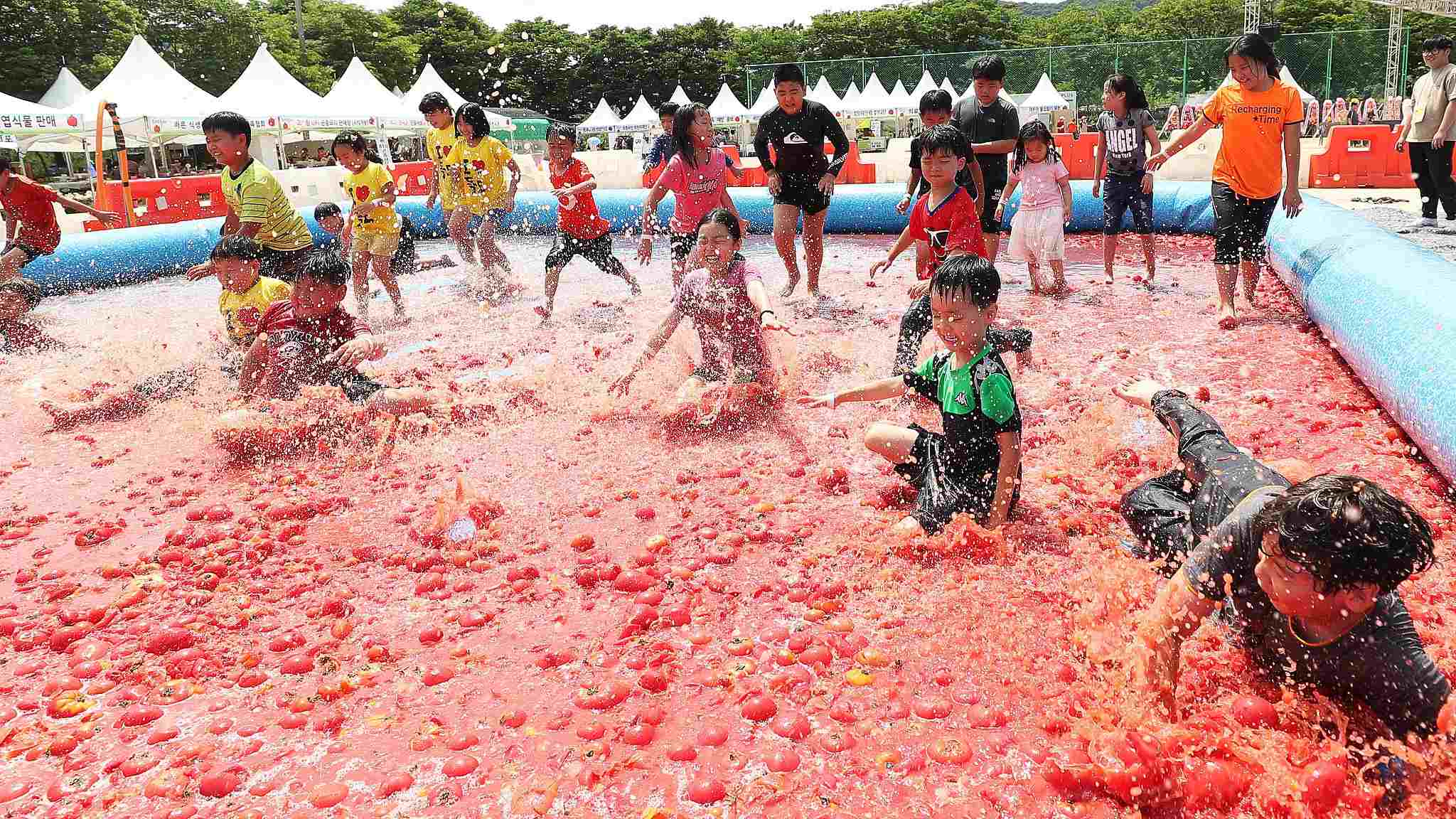 Huge tomato pool during South Korea's tomato festival CGTN