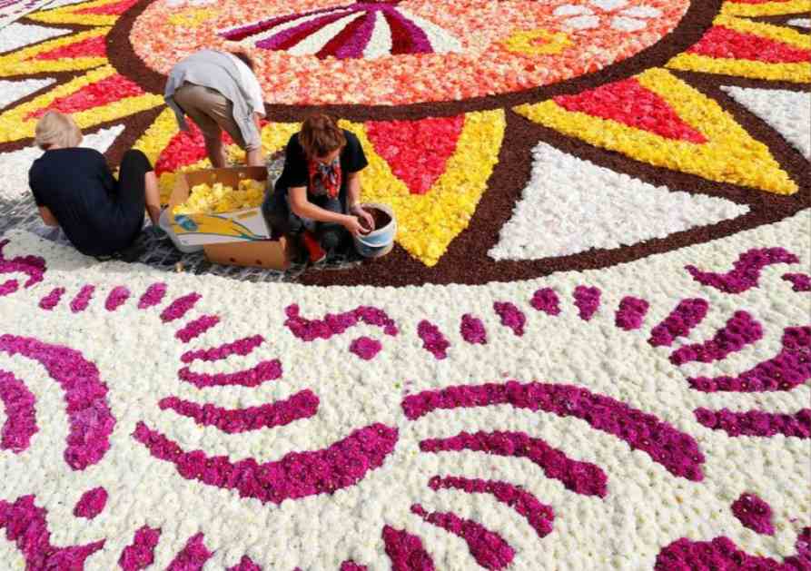 Brussels' flower carpet emblazons city center - CGTN