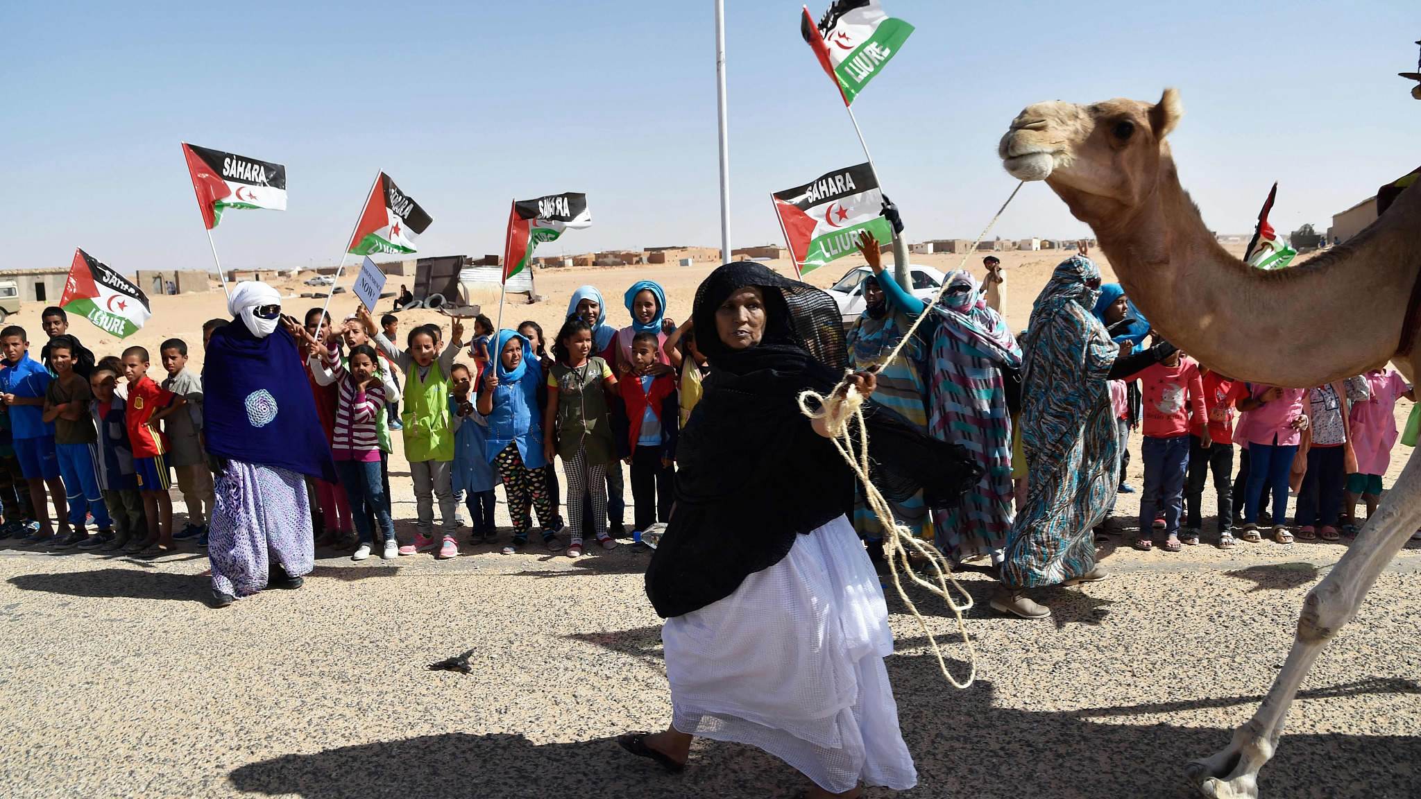 UN Security Council backs Western Sahara talks CGTN