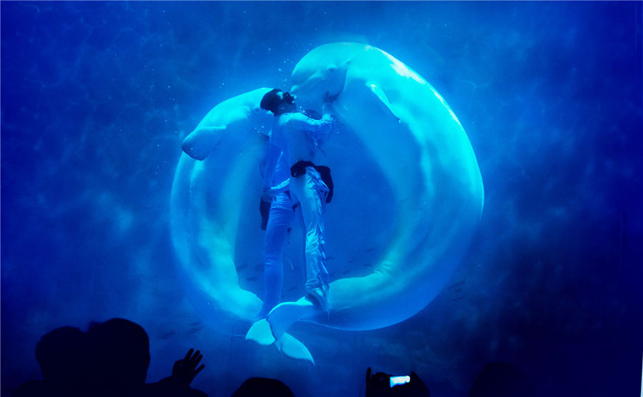 Baby Shark swims to Shanghai Haichang Ocean Park for 'Baby Shark Festival'  in China 