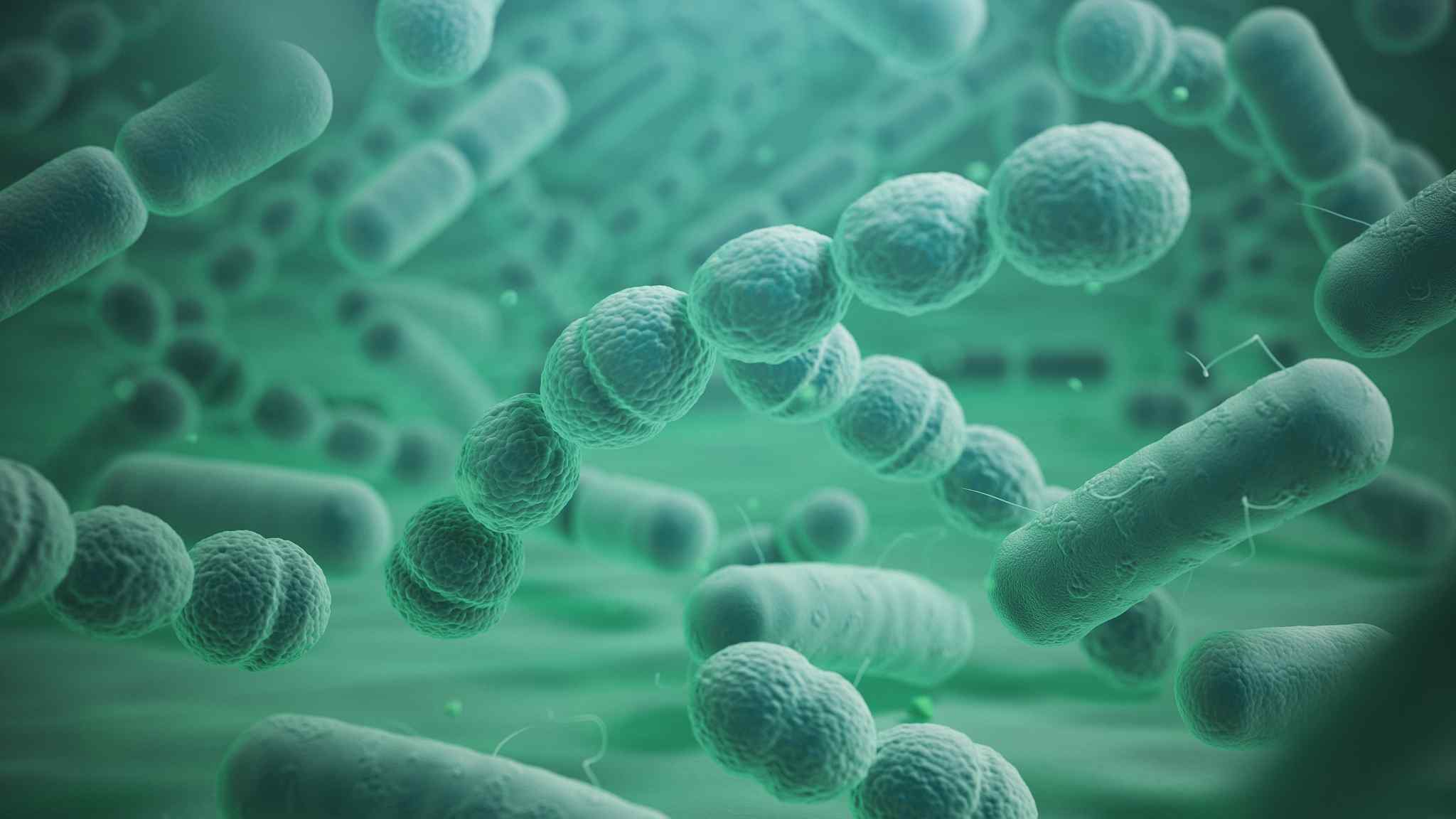 Бактерии фон