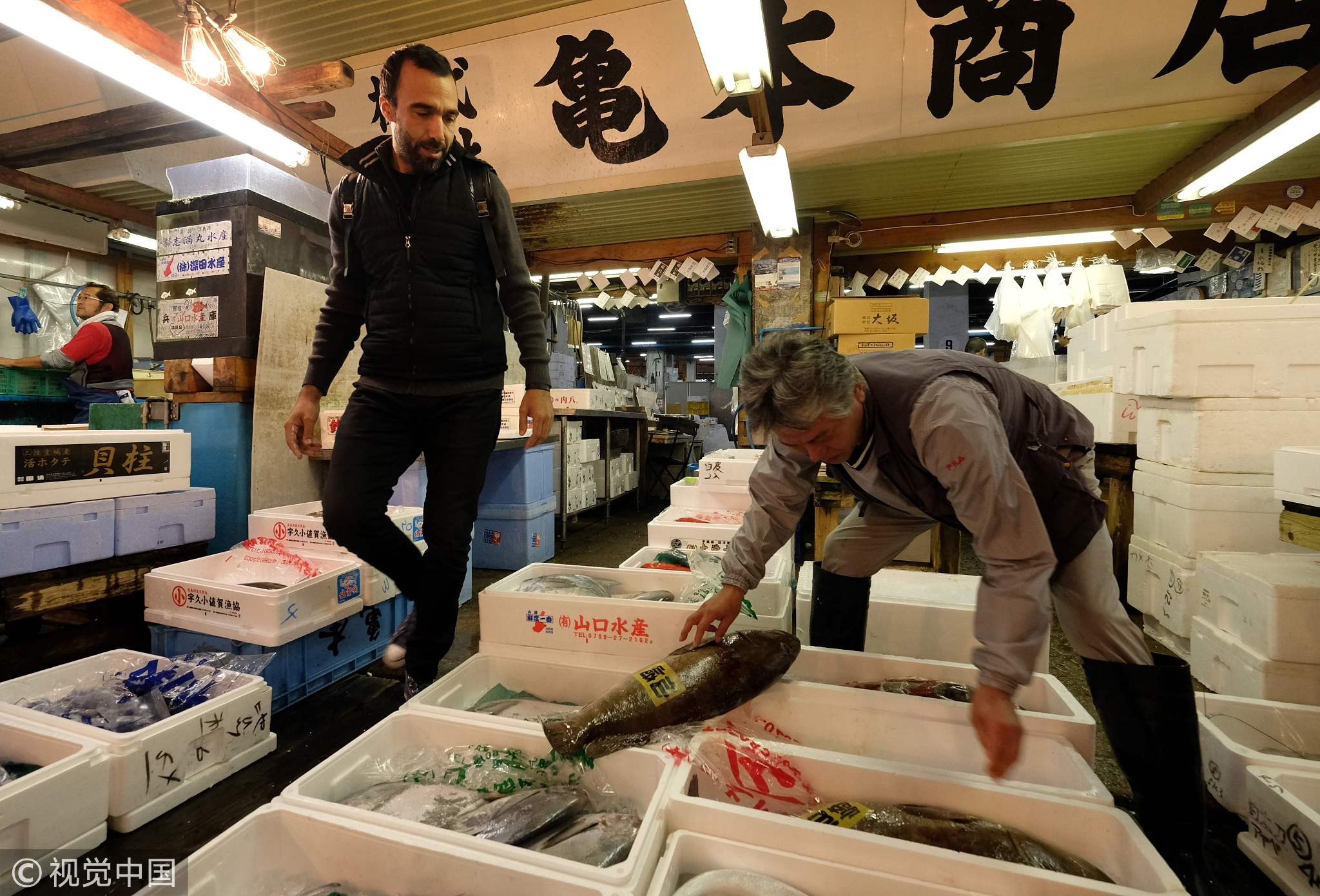 Says the fish. Рыбалка в Токио. Токио фишинг.