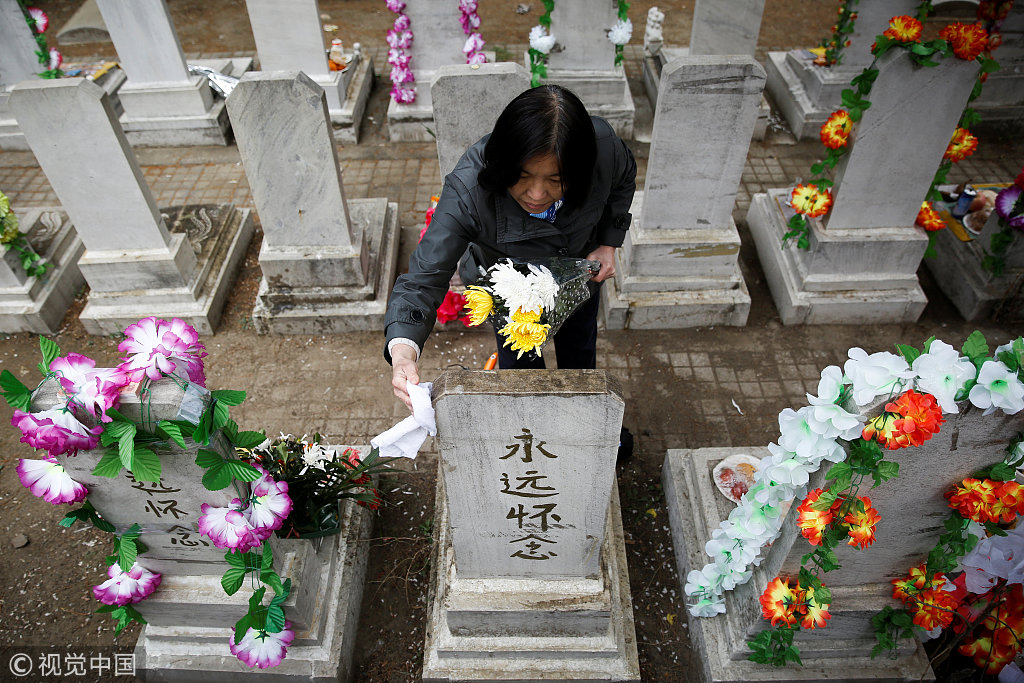 Four popular mourning flowers during qingming festival - cgtn