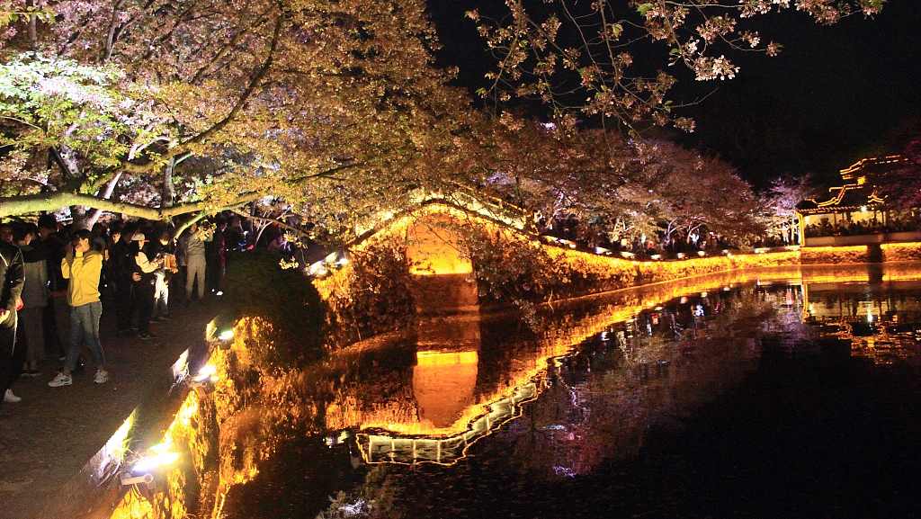 Tourists line up to enjoy the night view of cherry blossoms in E China ...