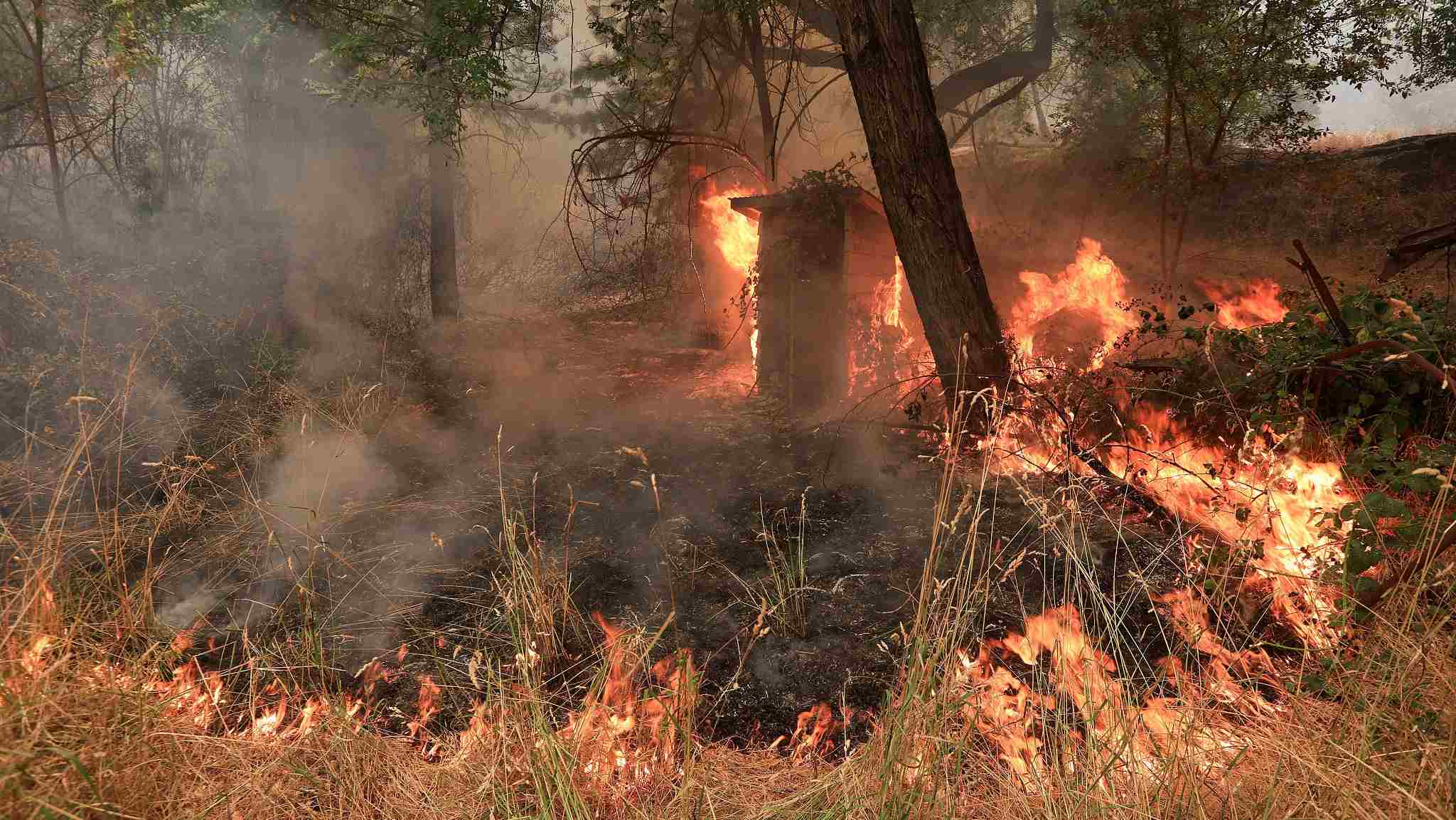 Wildfires blaze through Greece, Sweden, California - CGTN