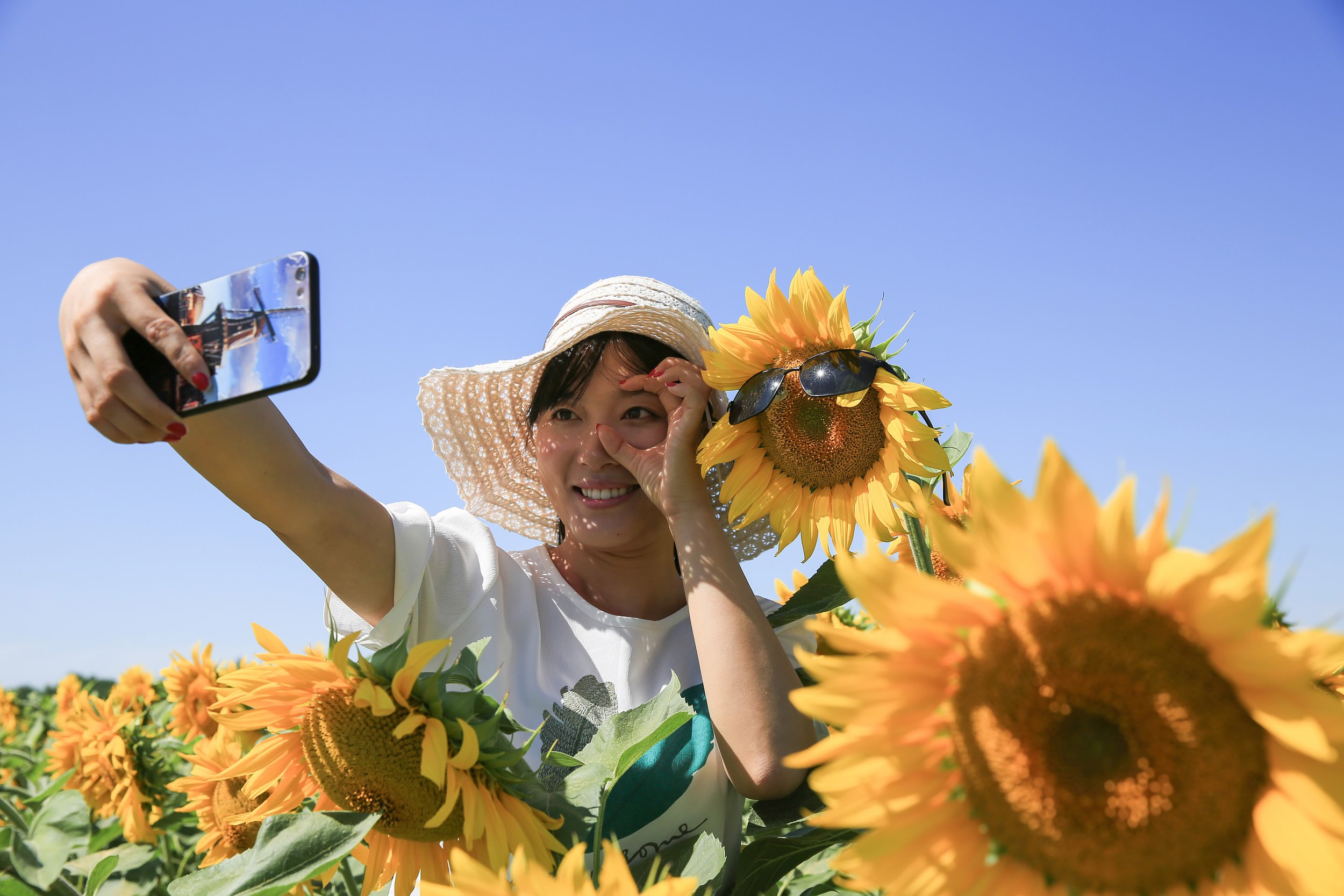 Sunflowers In Full Bloom In NW China CGTN   488a8270 1cea 4935 903e F78f4704c5f7 