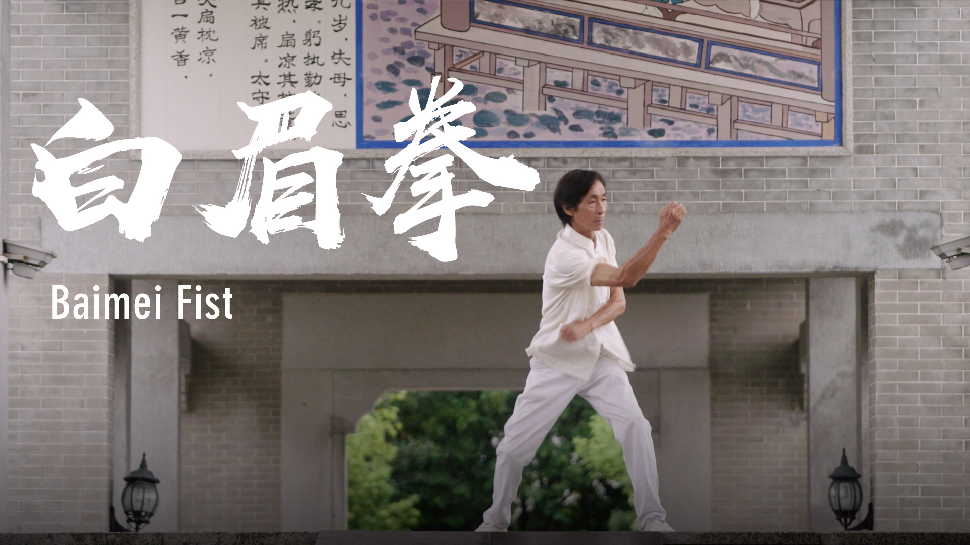 Chinese ancient martial art: Baimei Fist