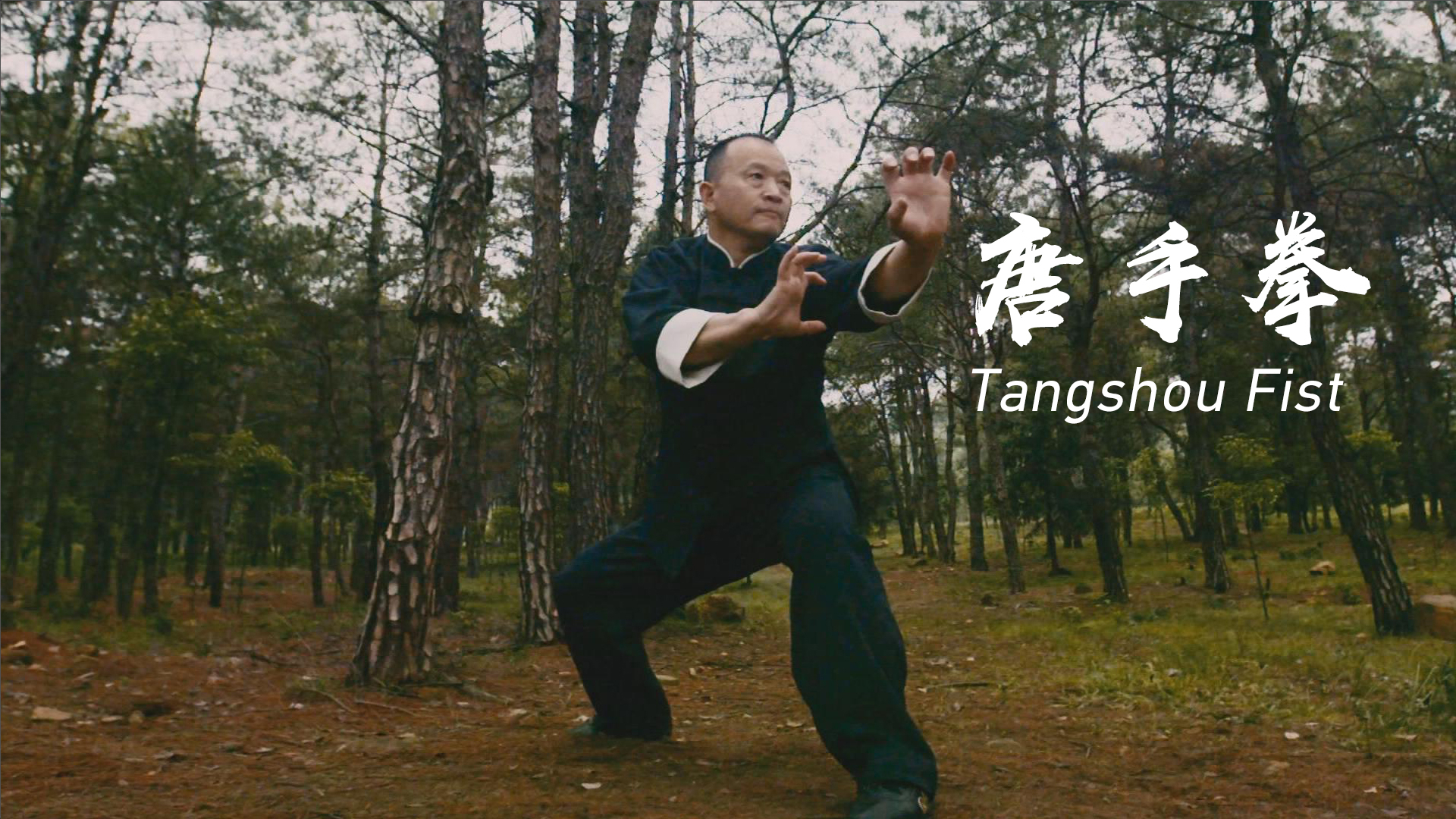 Tangshou Boxing: Unique kung fu style 