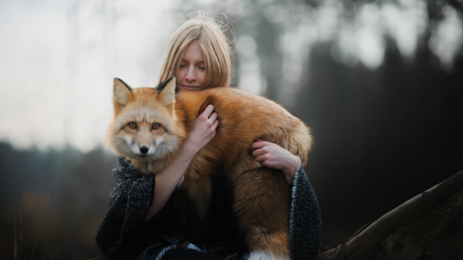Freya fox