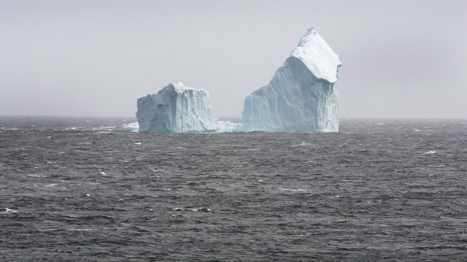 ferryland newfoundland iceberg alley