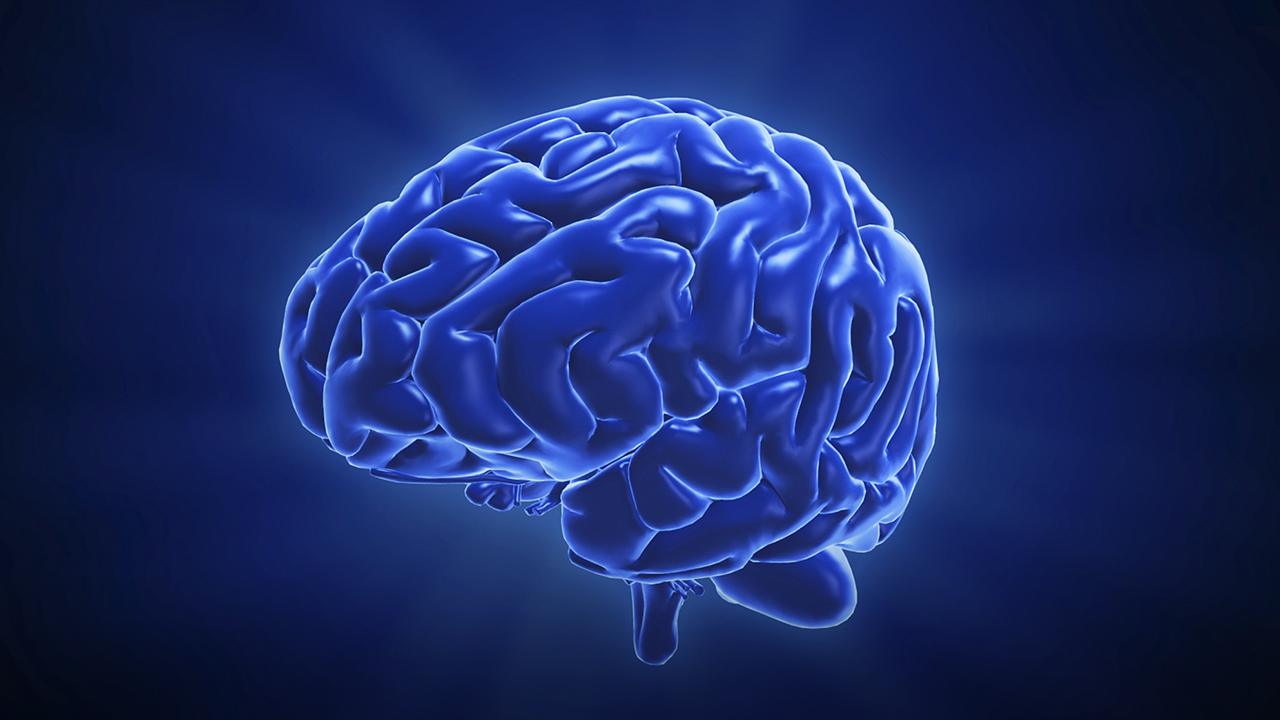 Live: How 'Brain Breaks' boosts physical activity - CGTN