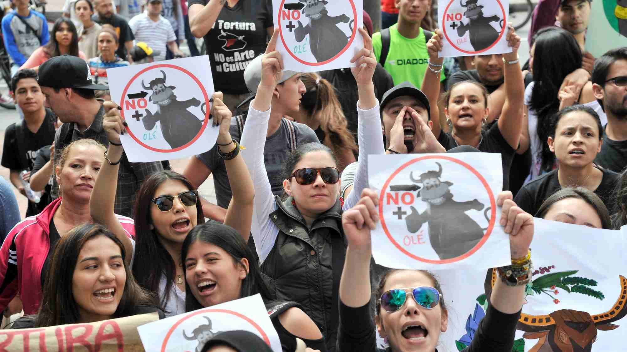 Colombian Protestors Oppose Return Of Bullfighting Cgtn
