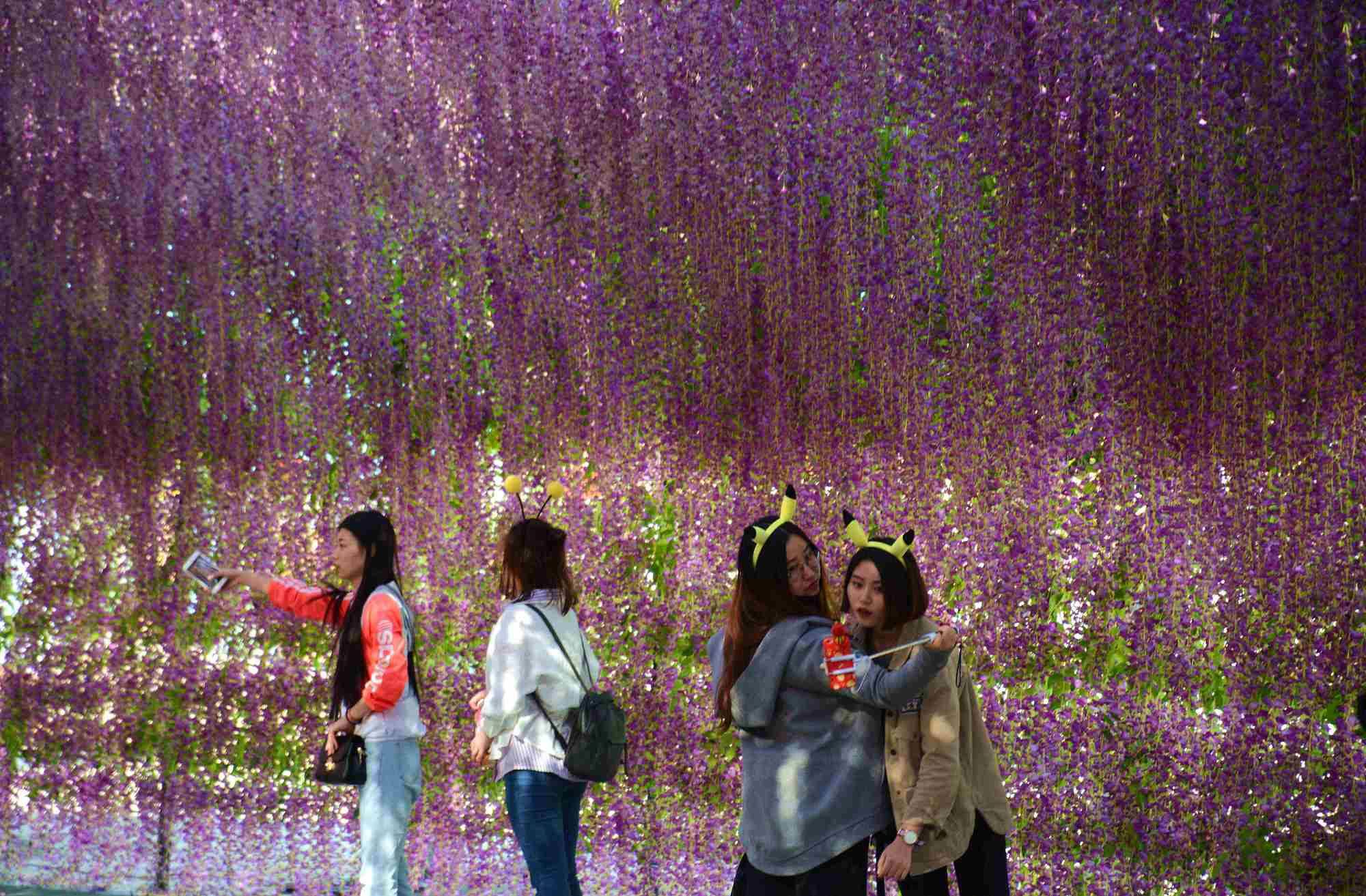 Purple Lovers Lavender Dew- FTBE & Align , Wisteria purple - Reddit