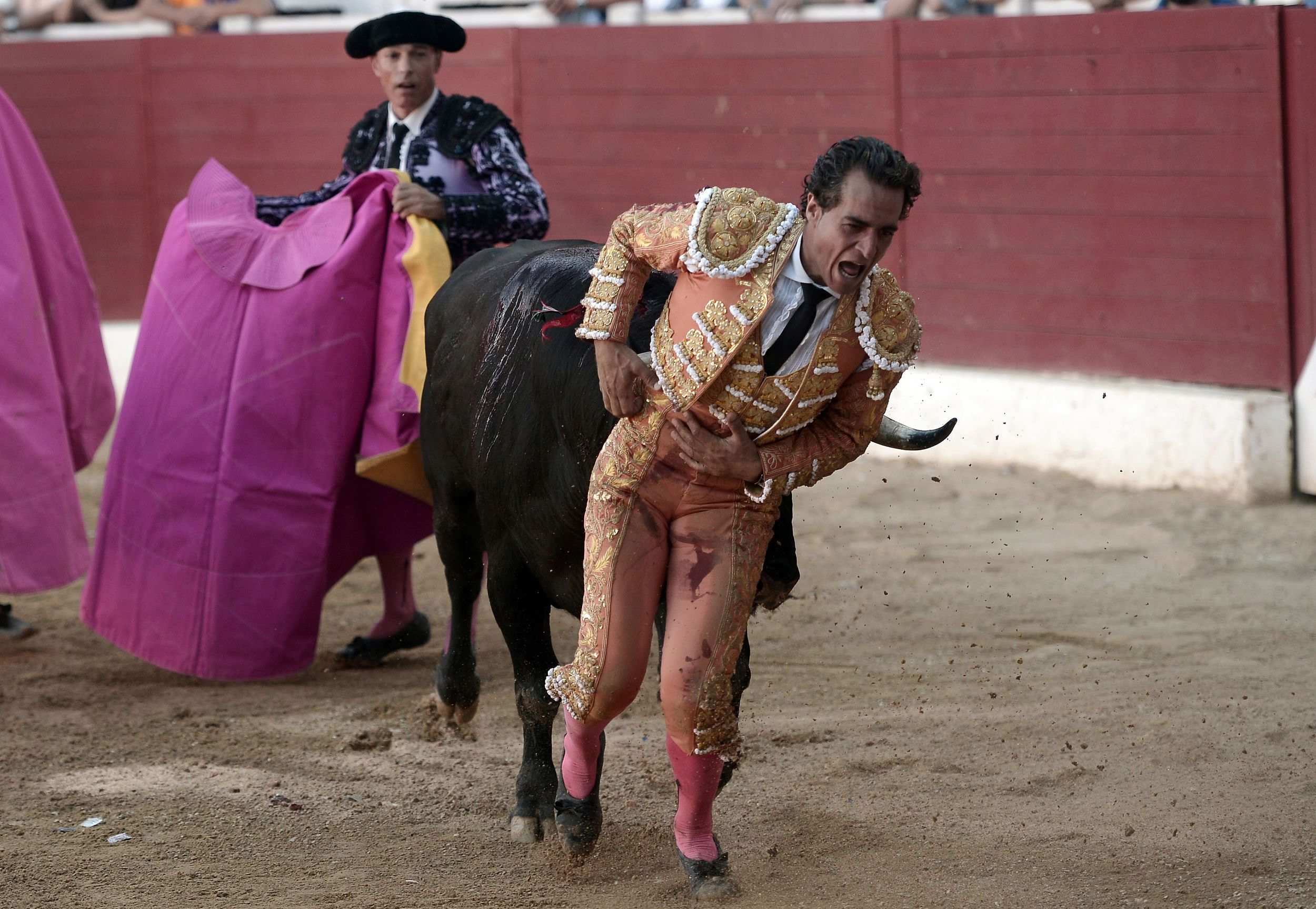 Is the art of bullfighting dead?, Art and design