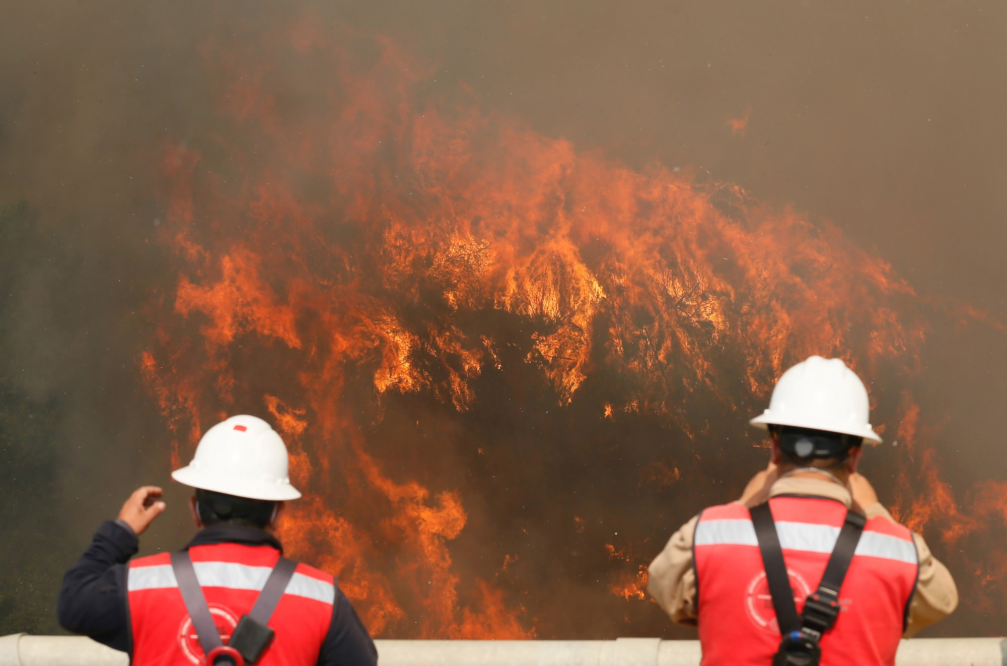 Fire large. Пожары в Чили. Пожа океане пожар. Сгоревшие леса Чили. В Китае объявили о «Красном» уровне опасности из-за пожаров.