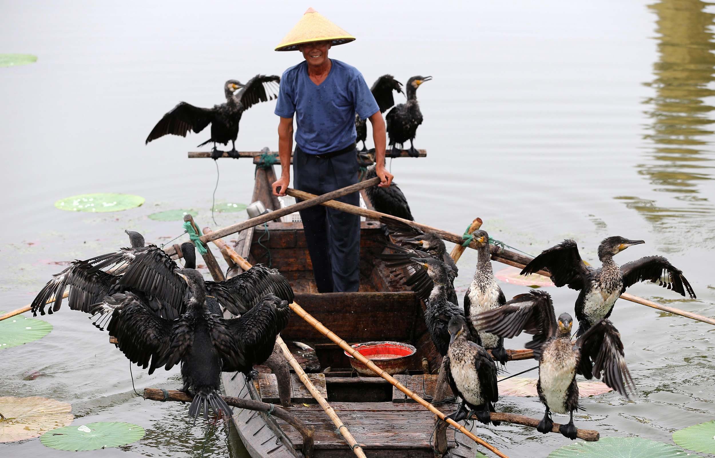 One man's quest to protect the tradition of cormorant fishing - CGTN