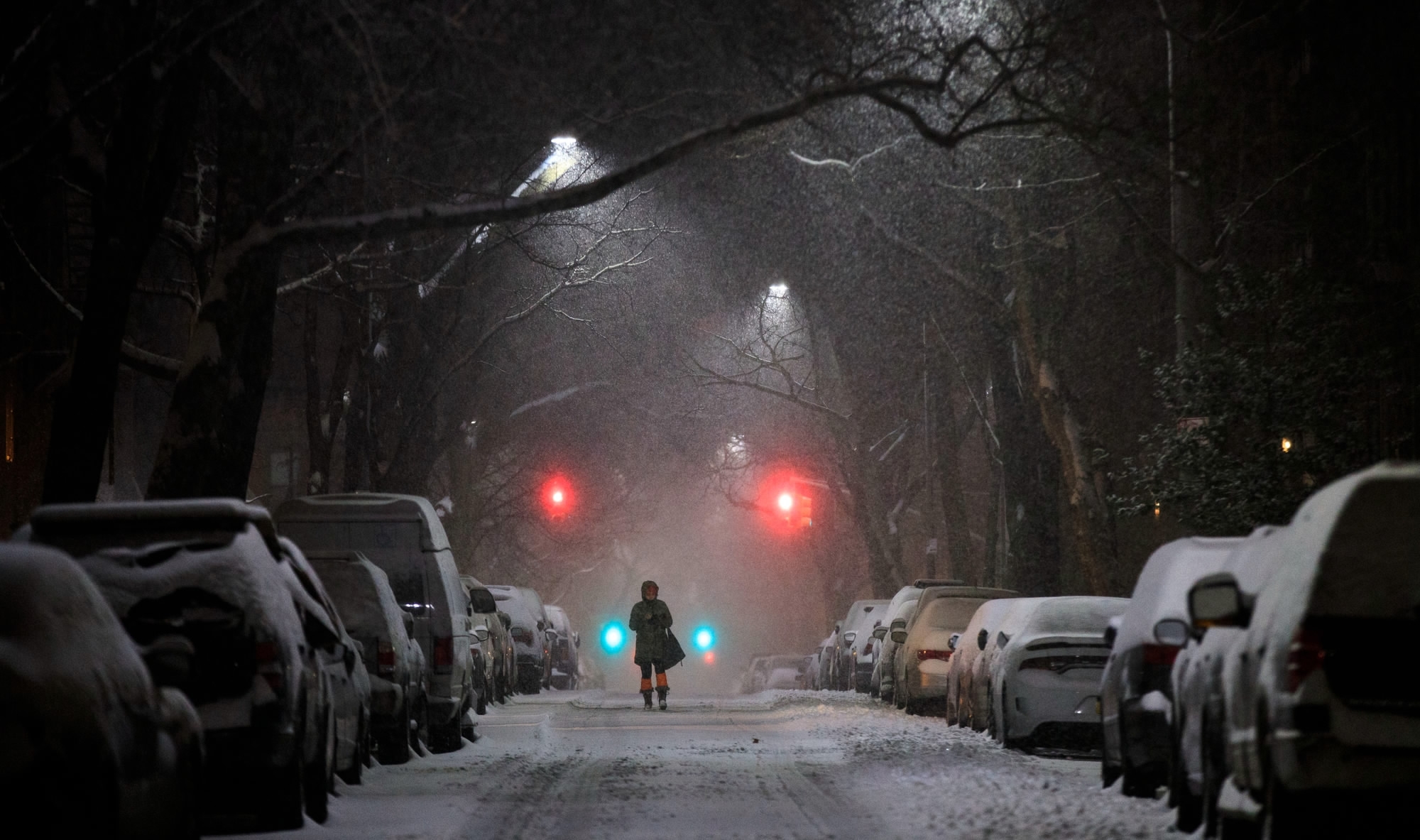 Spring? Not yet – taste your last bite of winter in New York - CGTN