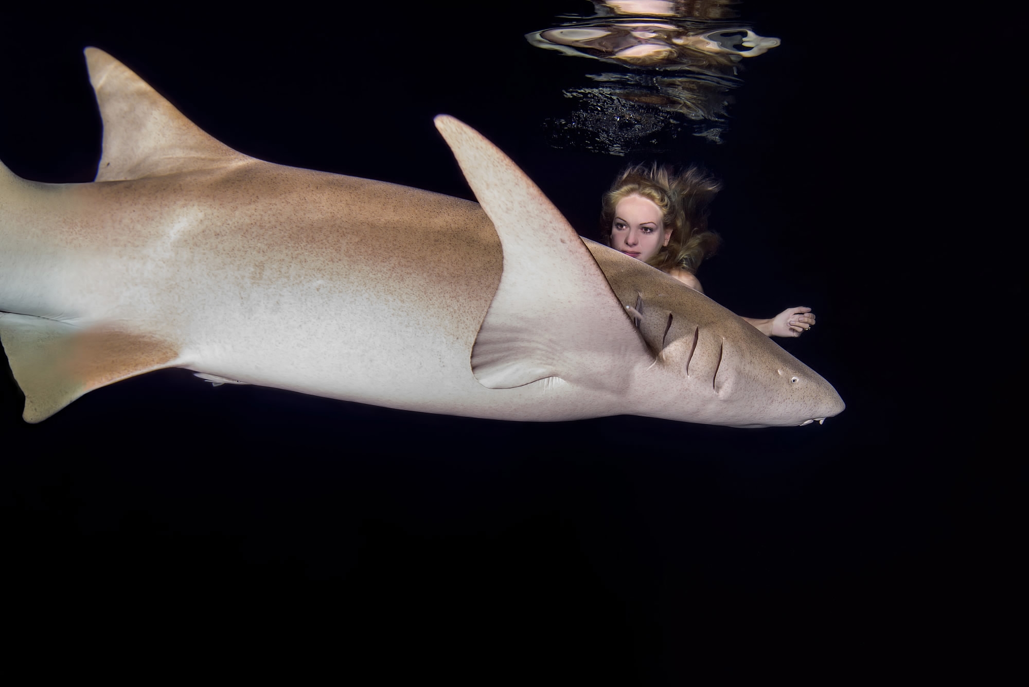 Model poses underwater with sharks to prove creatures are 