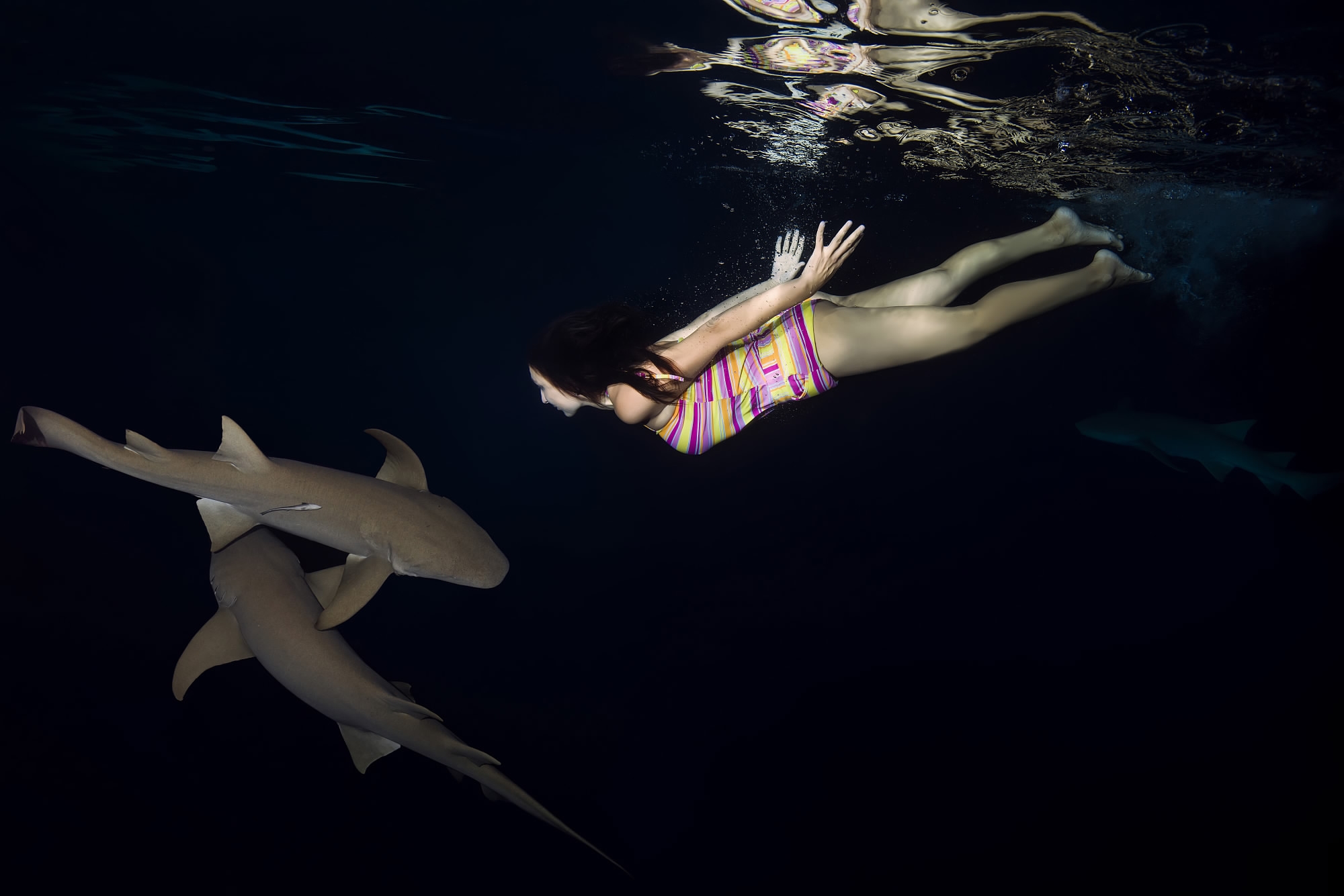Model poses underwater with sharks to prove creatures are 