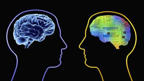 Mobile Computer Brain Chinese school aims to build pocket-sized computer brain - CGTN