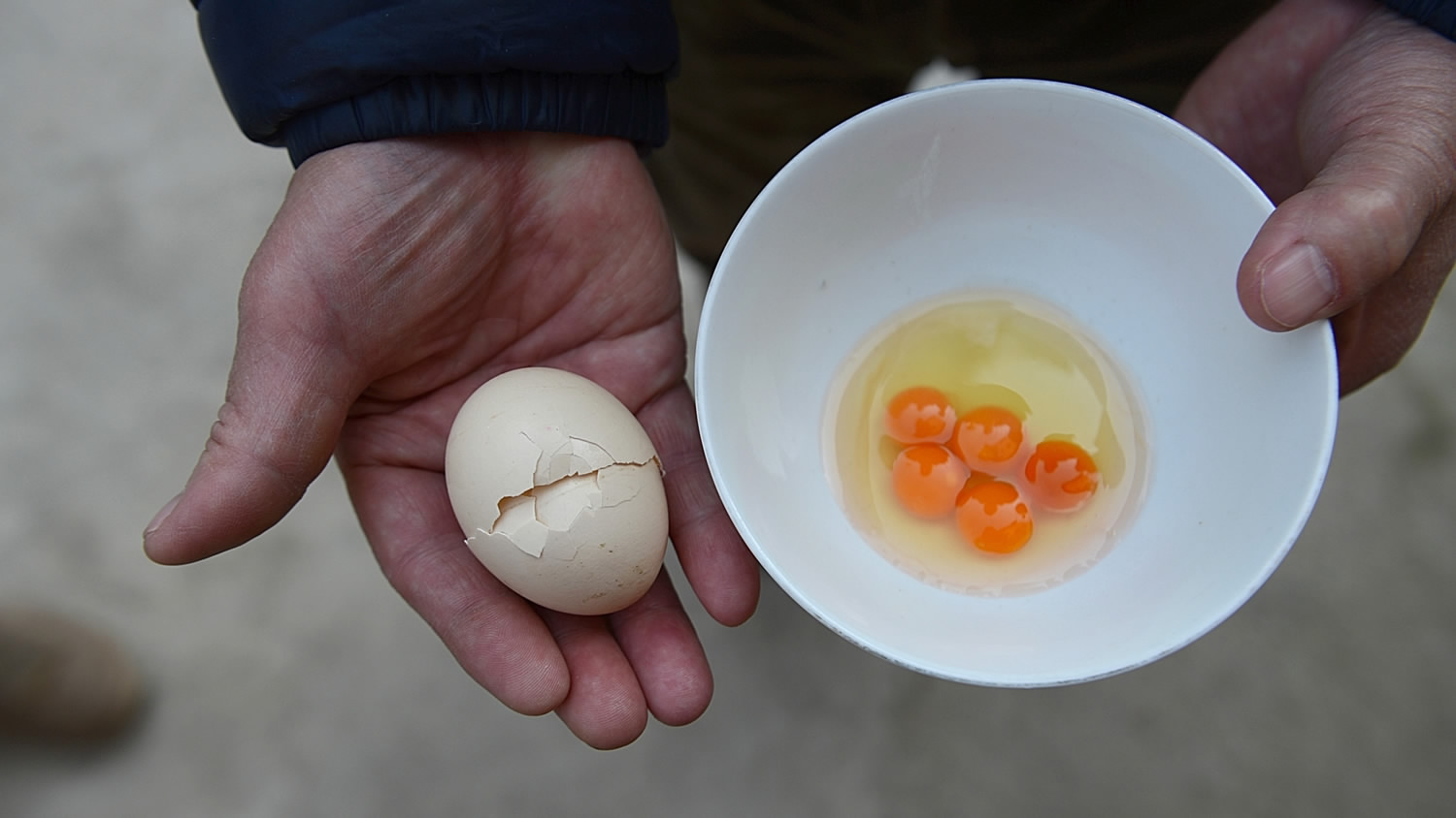 Желток синоним. Желток в руке. Первое яйцо. Iaponskoe iaico Egg. Rare Egg.