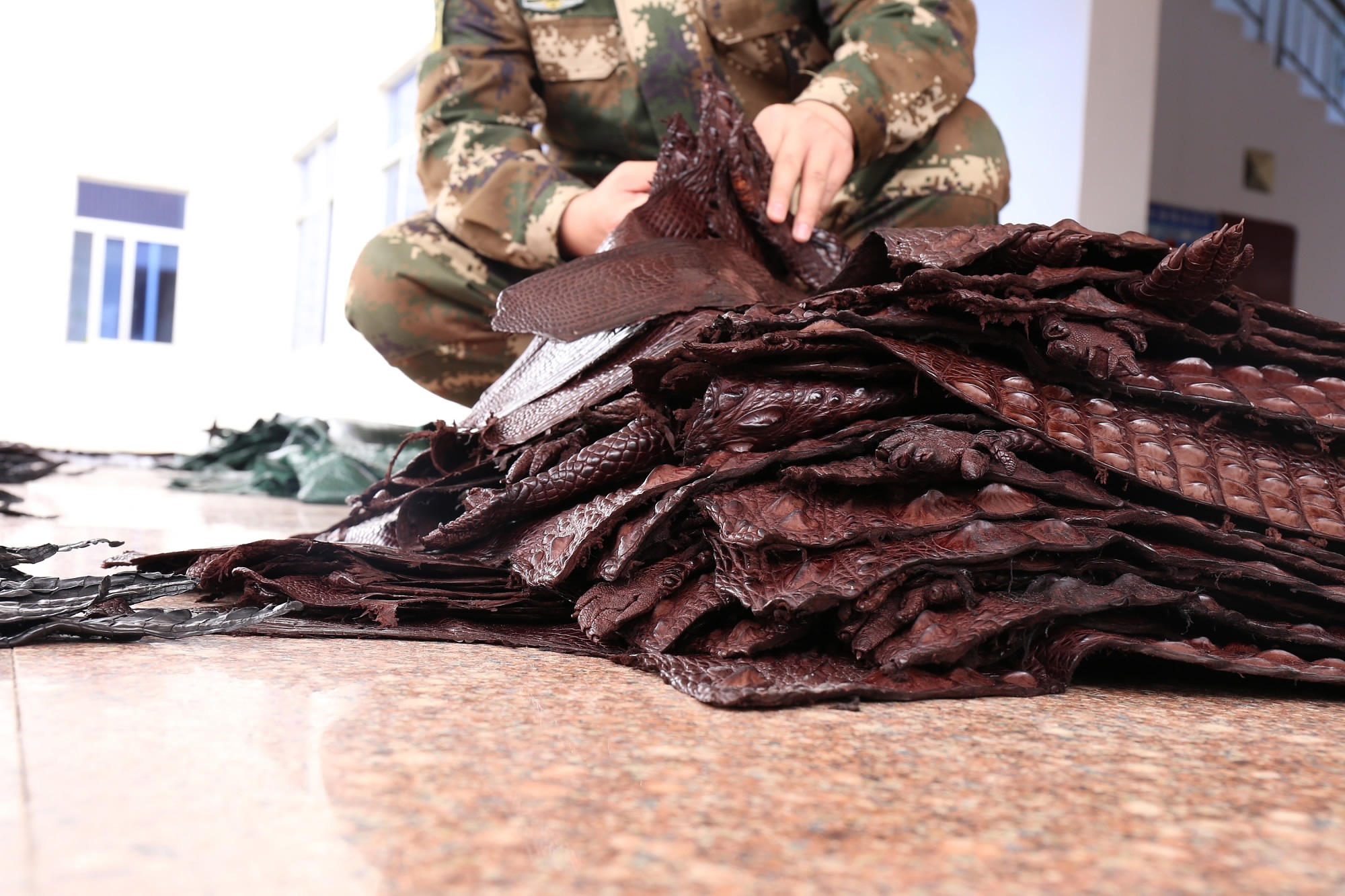 Over 1,600 crocodile skins seized in S. China