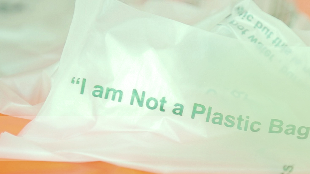 Live: Sustainable “plastic