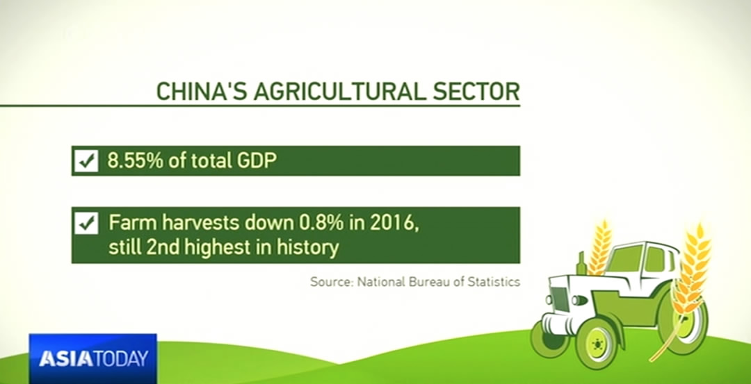 China’s ‘No. 1 Central Document’ focuses on agriculture for 14th ...