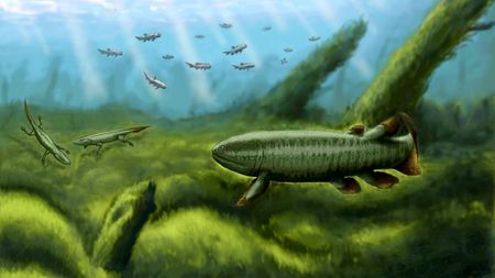 Fossilized fin shows how ancient fish evolve to walk on land - CGTN