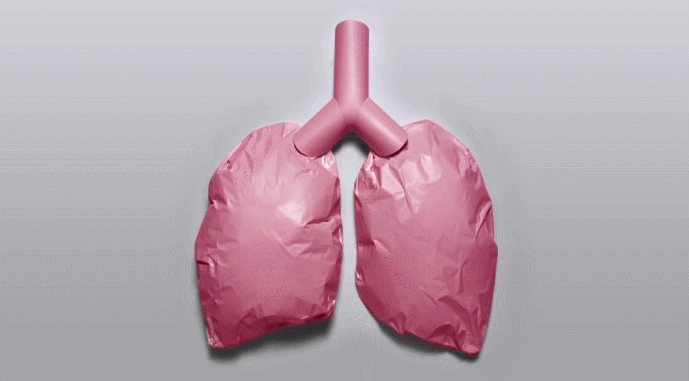 The artificial simulation image of human lung.