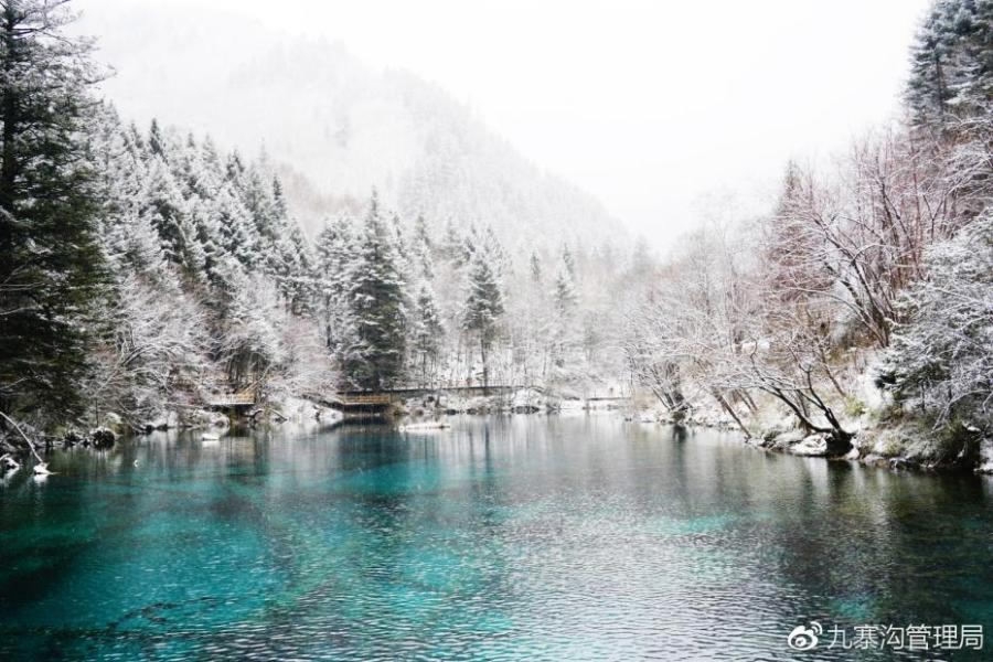 Mystical Jiuzhaigou Valley presents picturesque look after snowfall - CGTN