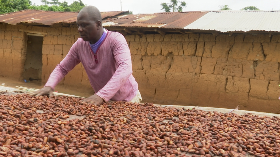 Ghana, Ivory Coast shake up cocoa market CGTN