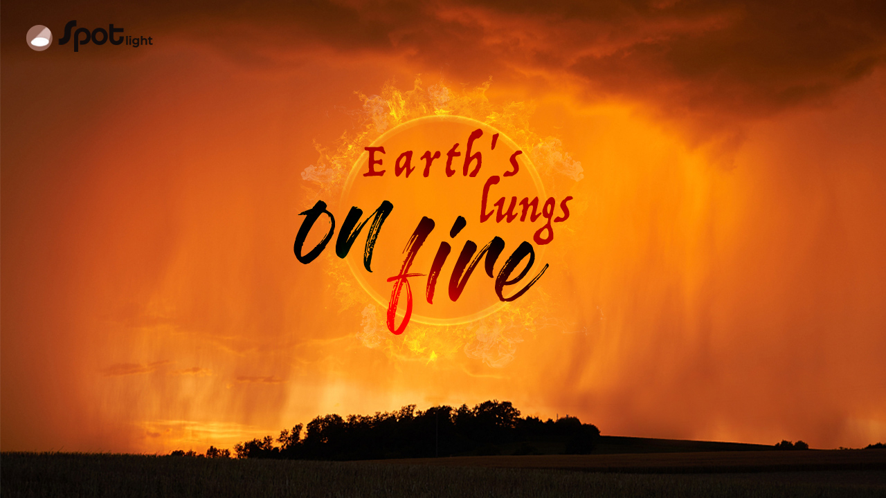 In The Spotlight: 'Earth's lungs' on fire