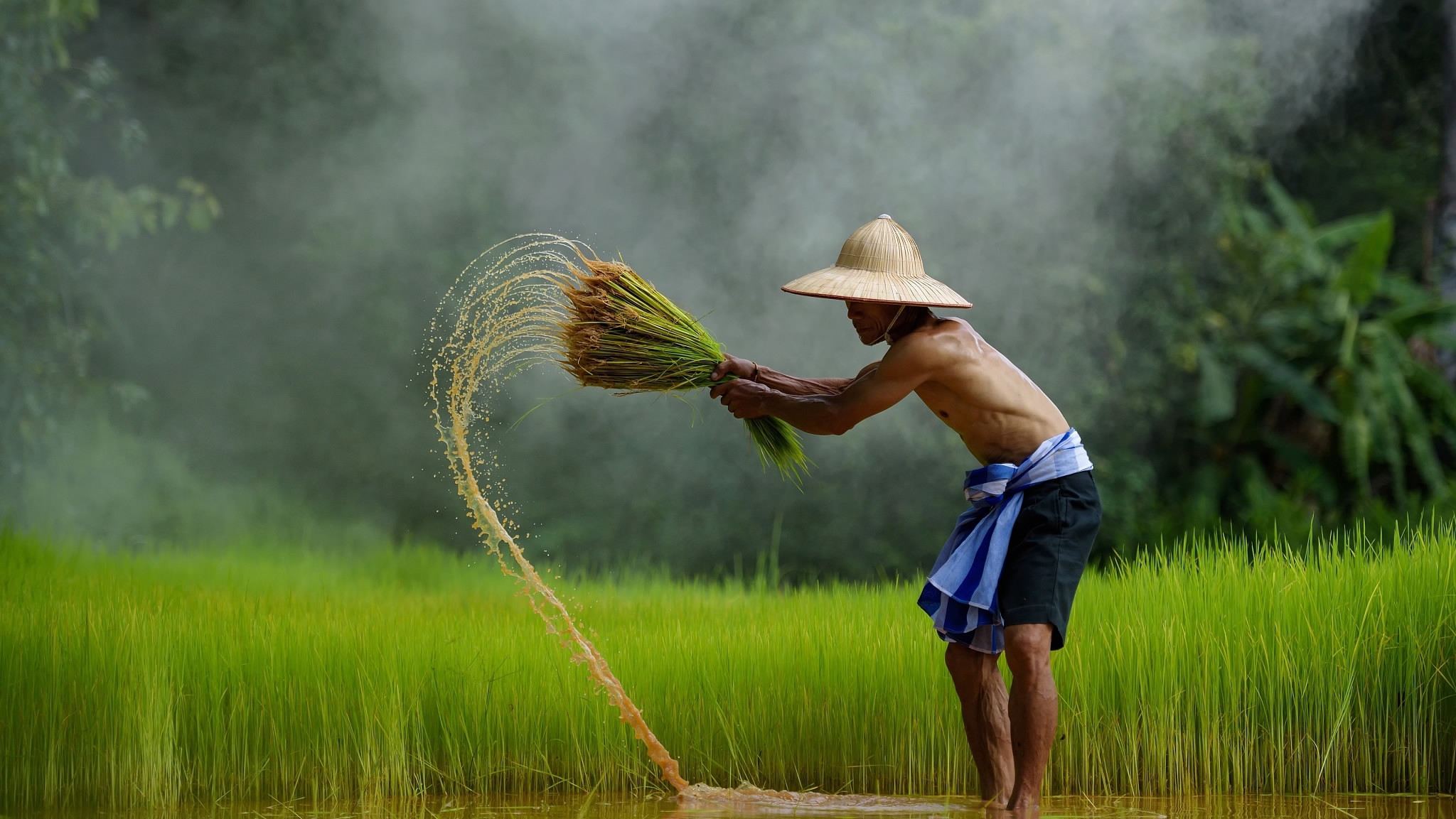 Thai Farmer Hat