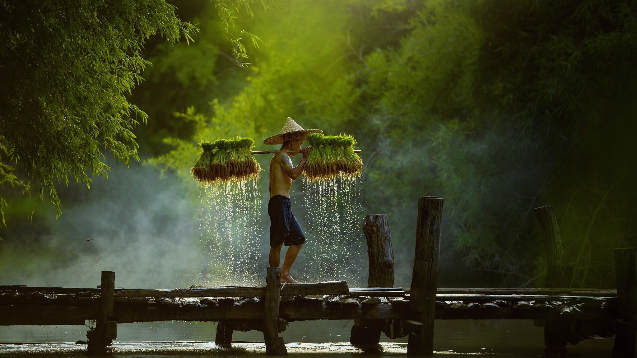 Thai farmer creates a stunning waterfall of droplets by carrying ...