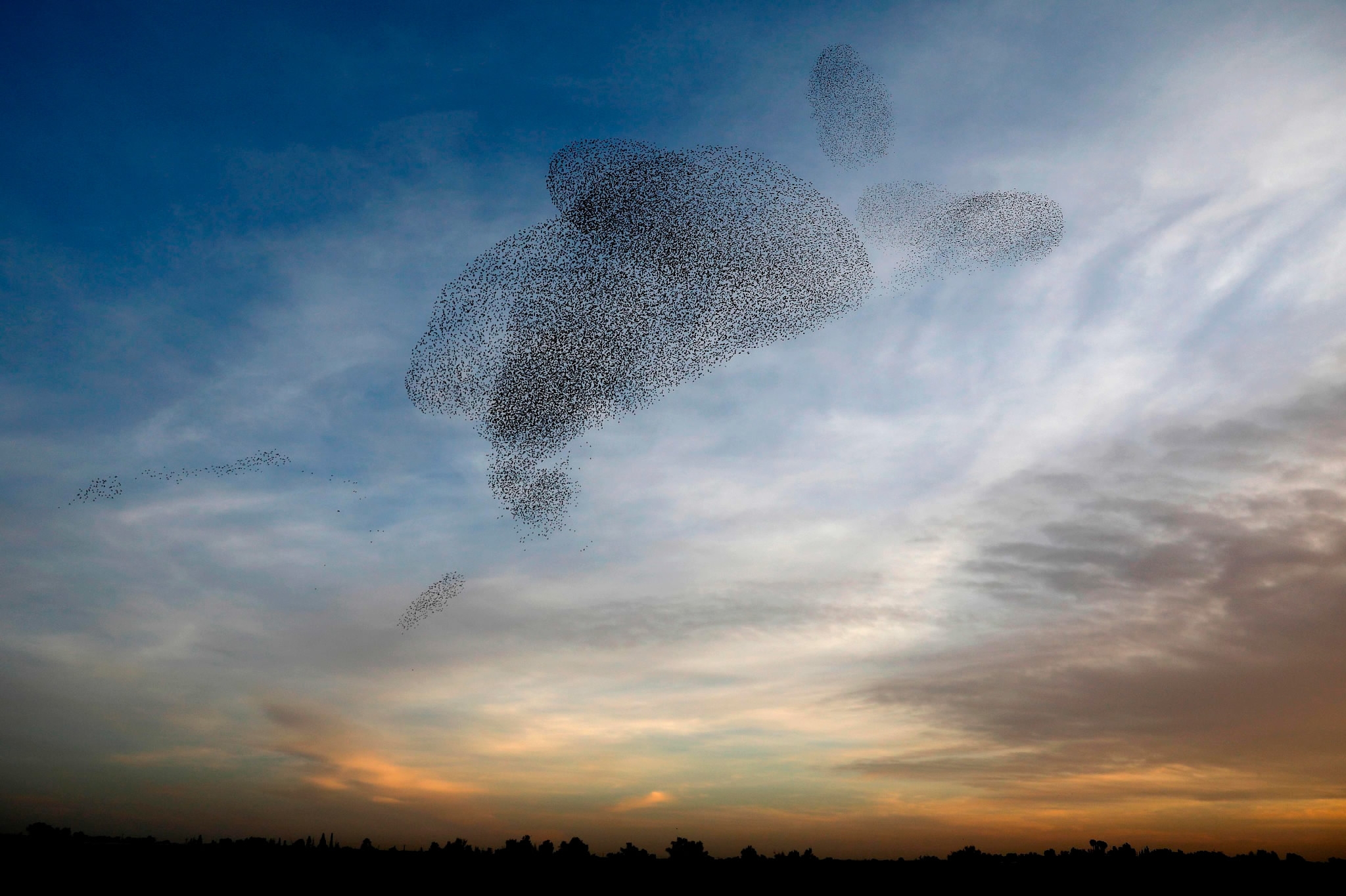 Starlings form dark cloud over Negev - CGTN