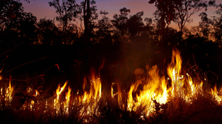 Firestorms: How Australia's Bushfires Create Their Own Weather - CGTN