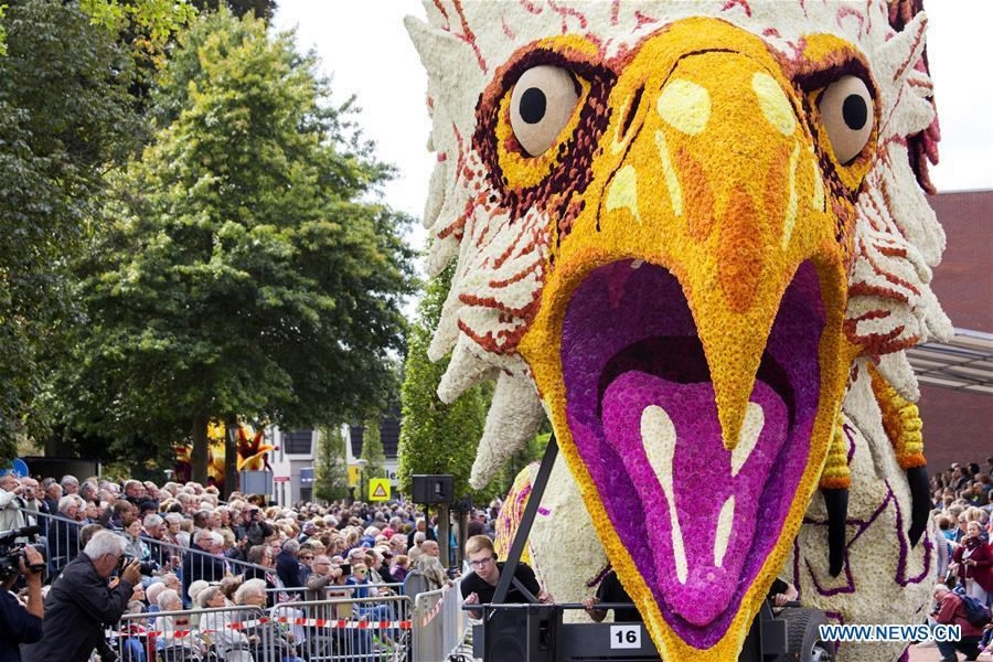 Annual flower parade held in Netherlands - CGTN