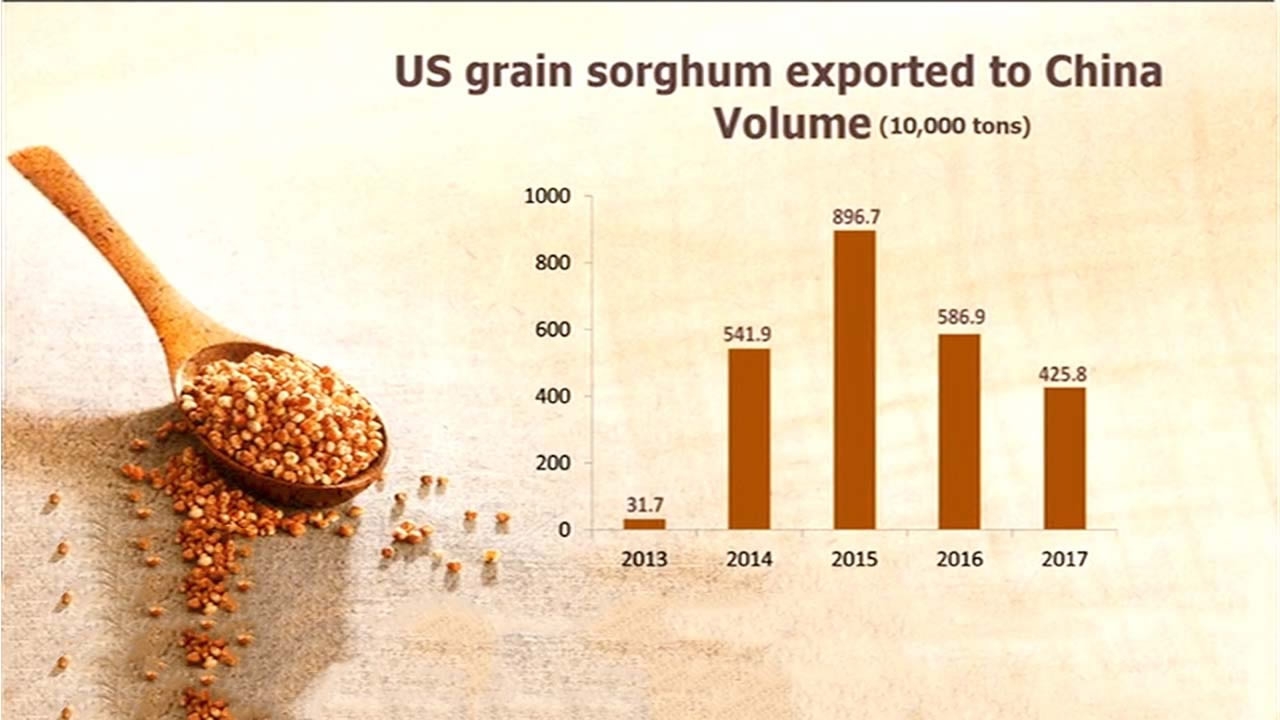 China Launches Anti Dumping Investigation Into Us Sorghum Imports Pakistan Defence