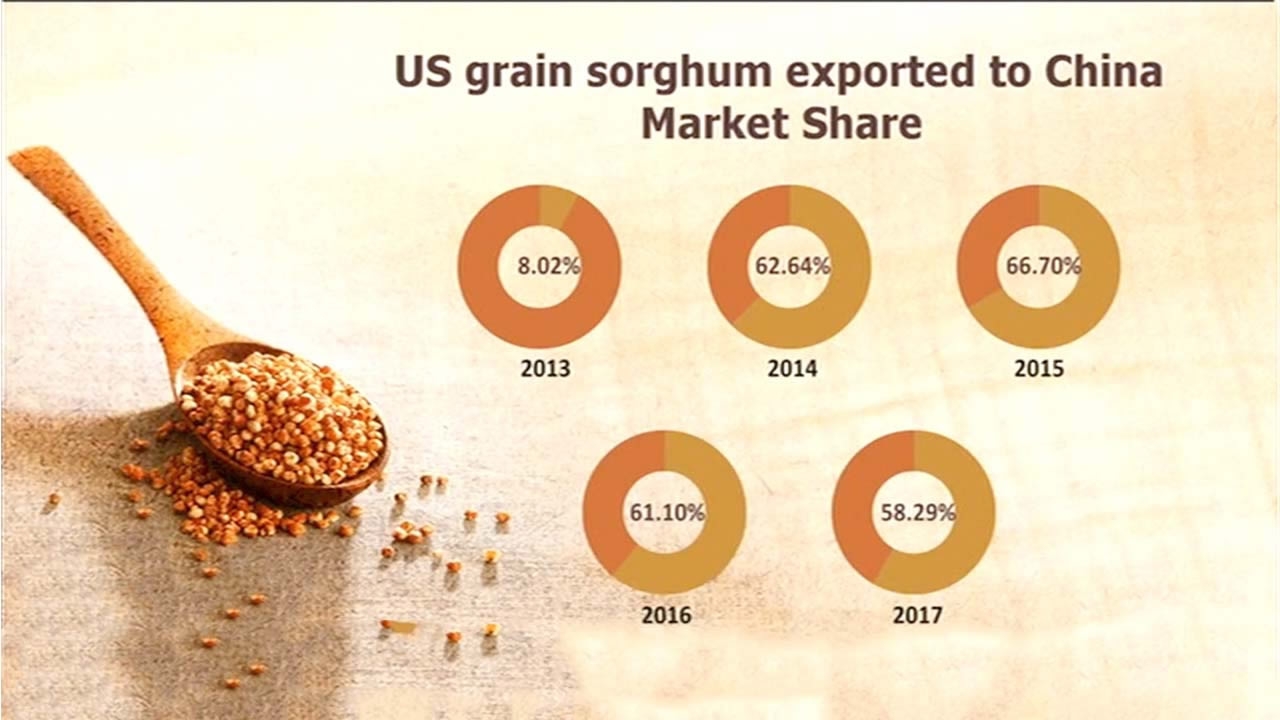 China Launches Anti Dumping Investigation Into Us Sorghum Imports Pakistan Defence