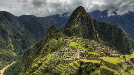 Peru to plant one million trees around Machu Picchu - CGTN