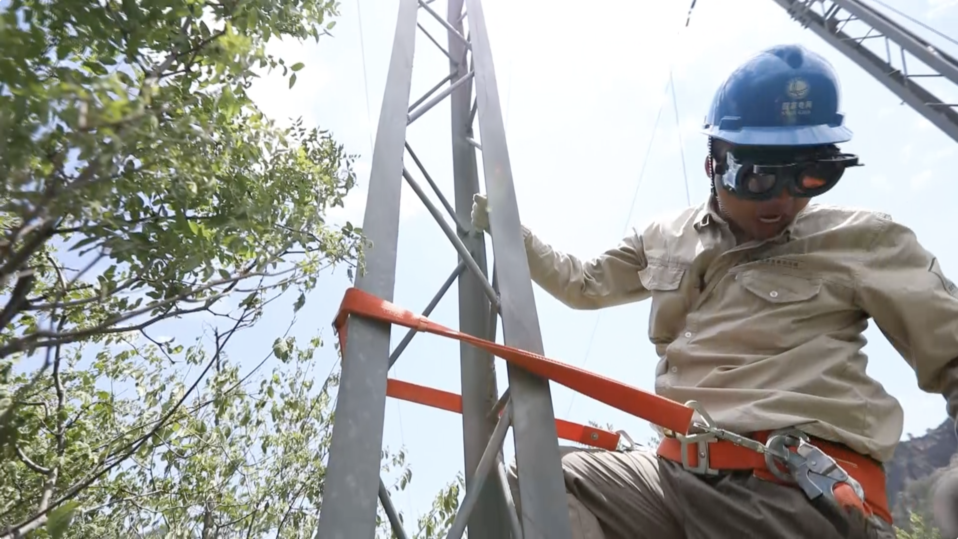 Life on a power line