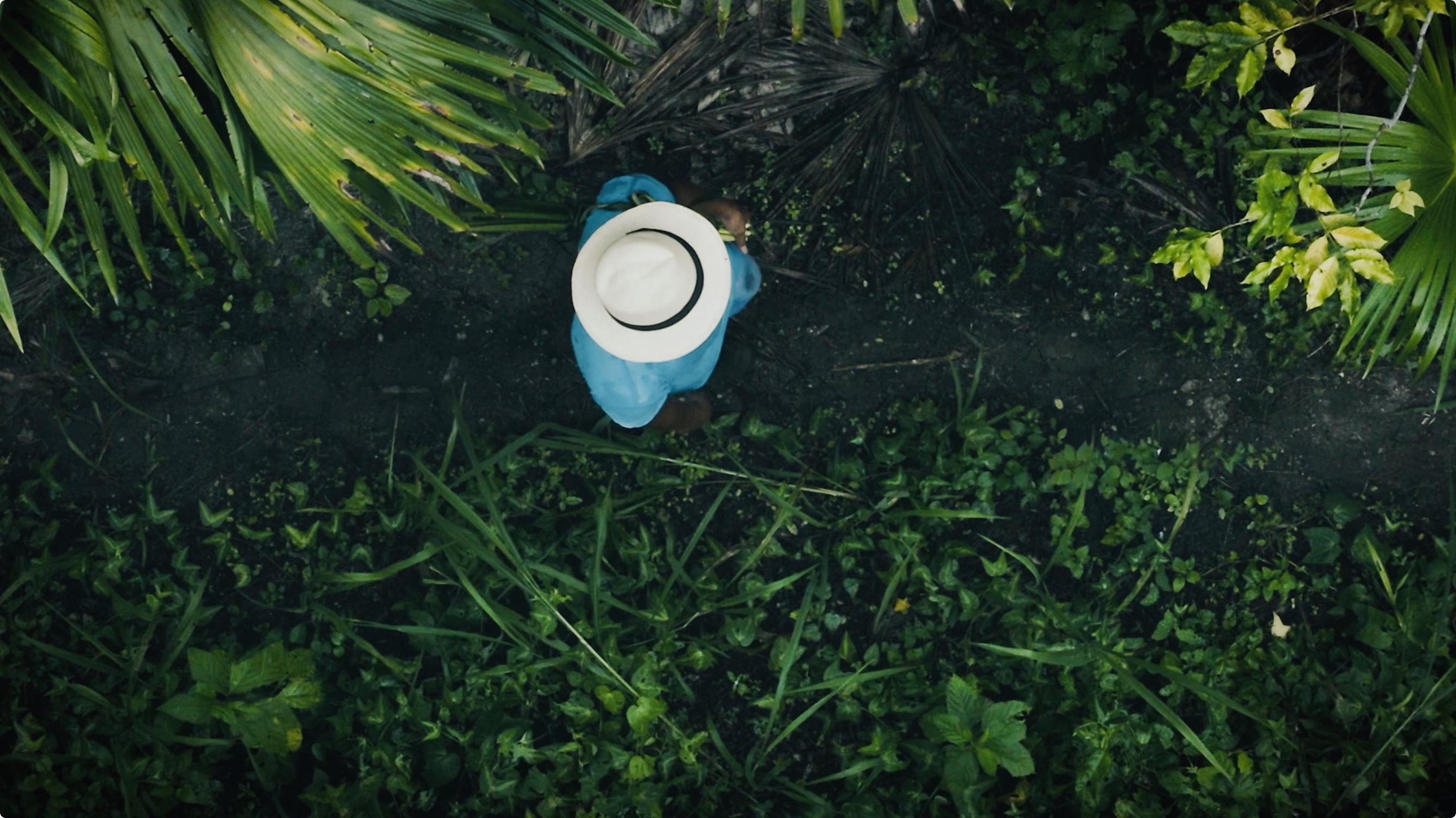 How to make a hat worth $25,000