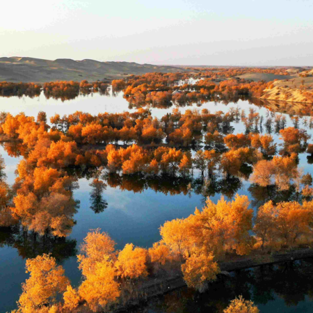 Huludao oasis welcomes late autumn in NW China - CGTN