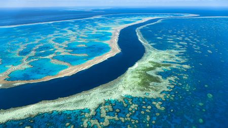 Great Barrier Reef suffers worst-ever coral bleaching: scientists - CGTN