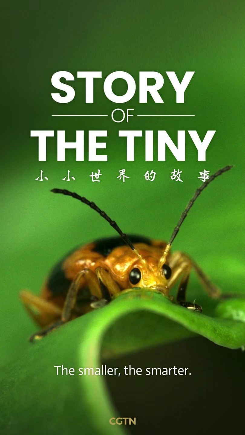 Story of the Tiny Series - Journeys in Nature | CGTN