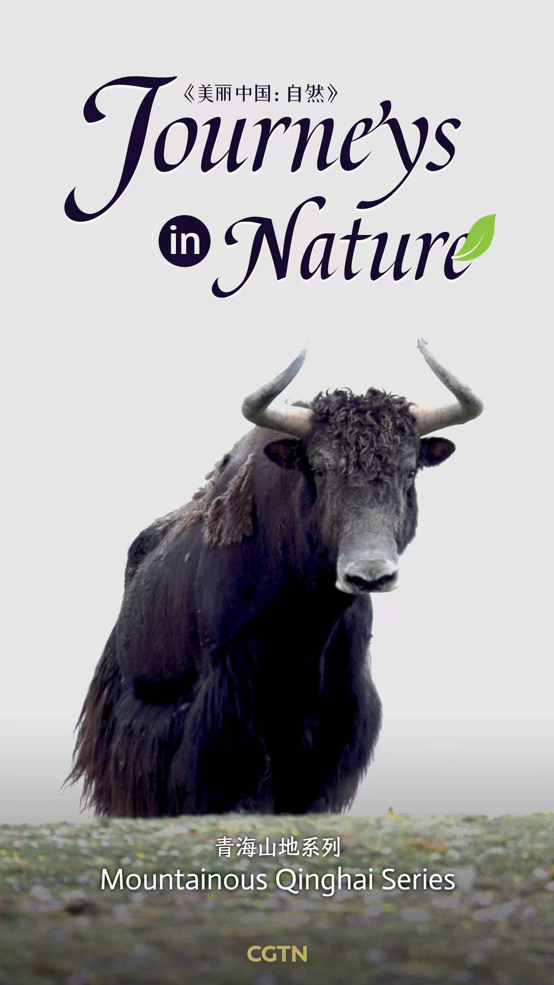 Mountainous Qinghai Series - Journeys in Nature | CGTN