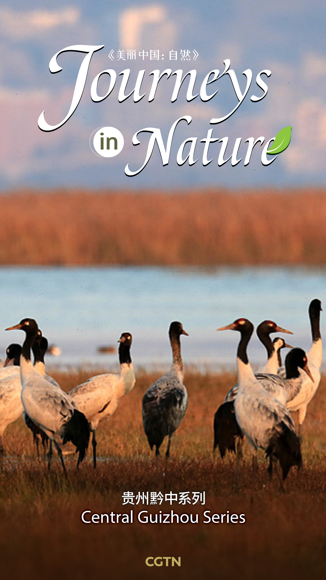 Central Guizhou Series - Journeys in Nature | CGTN