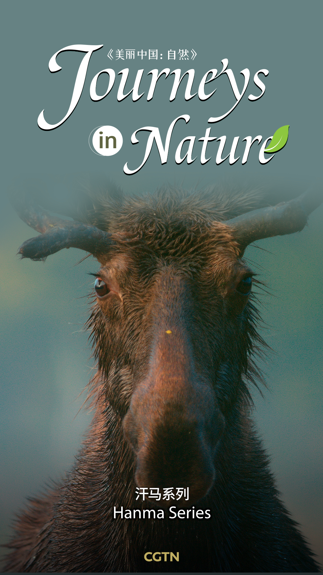 Hanma Series - Journeys in Nature | CGTN