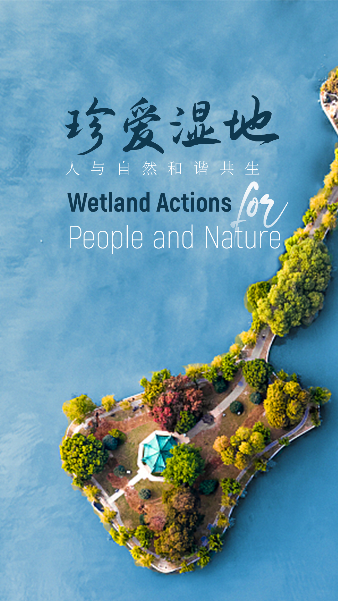 Wetland Actions | CGTN